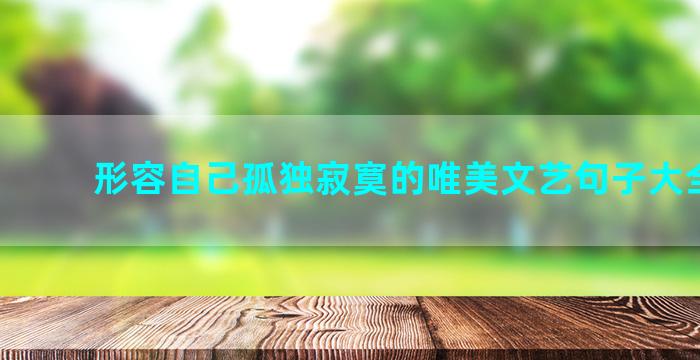 形容自己孤独寂寞的唯美文艺句子大全三篇