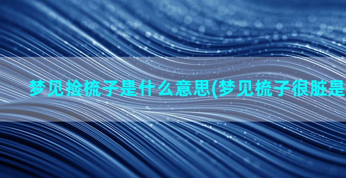 梦见捡梳子是什么意思(梦见梳子很脏是什么意思)