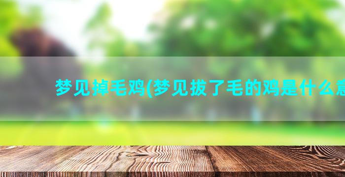 梦见掉毛鸡(梦见拔了毛的鸡是什么意思)