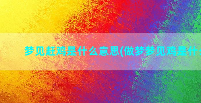 梦见赶鸡是什么意思(做梦梦见鸡是什么意思)