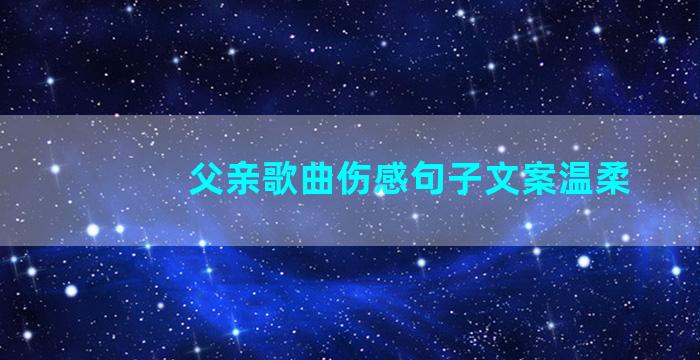 父亲歌曲伤感句子文案温柔