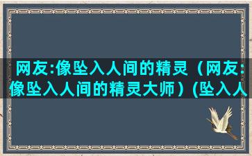 网友:像坠入人间的精灵（网友:像坠入人间的精灵大师）(坠入人间的精灵是谁)