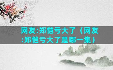 网友:郑恺亏大了（网友:郑恺亏大了是哪一集）